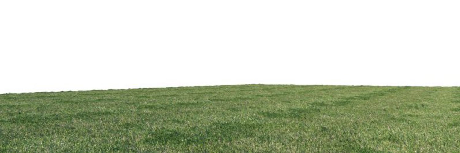 ᓚᘏᗢ banner