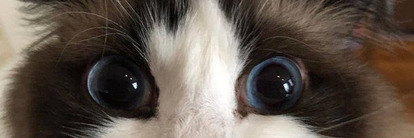 NightmanXIV Profile Banner