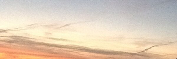 Puspall Profile Banner