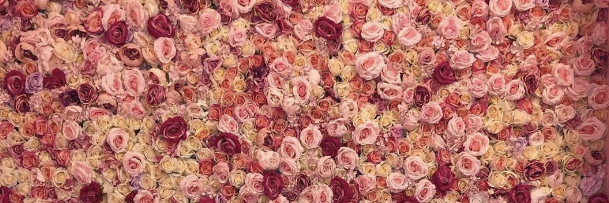 LucieOverdose's profile banner image
