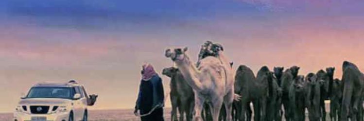 al_ba7eth80's profile banner image