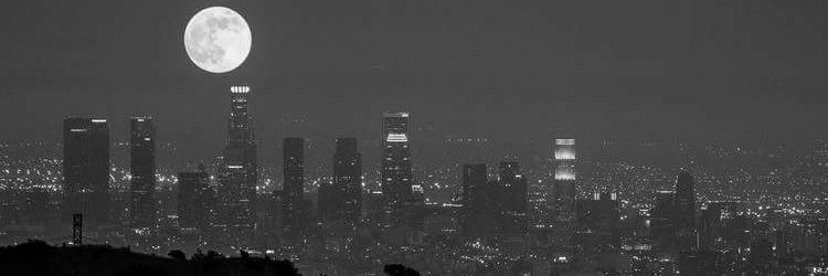 LeoNERD0's profile banner image