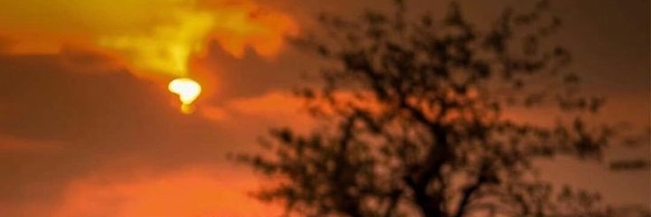 India_destiny banner