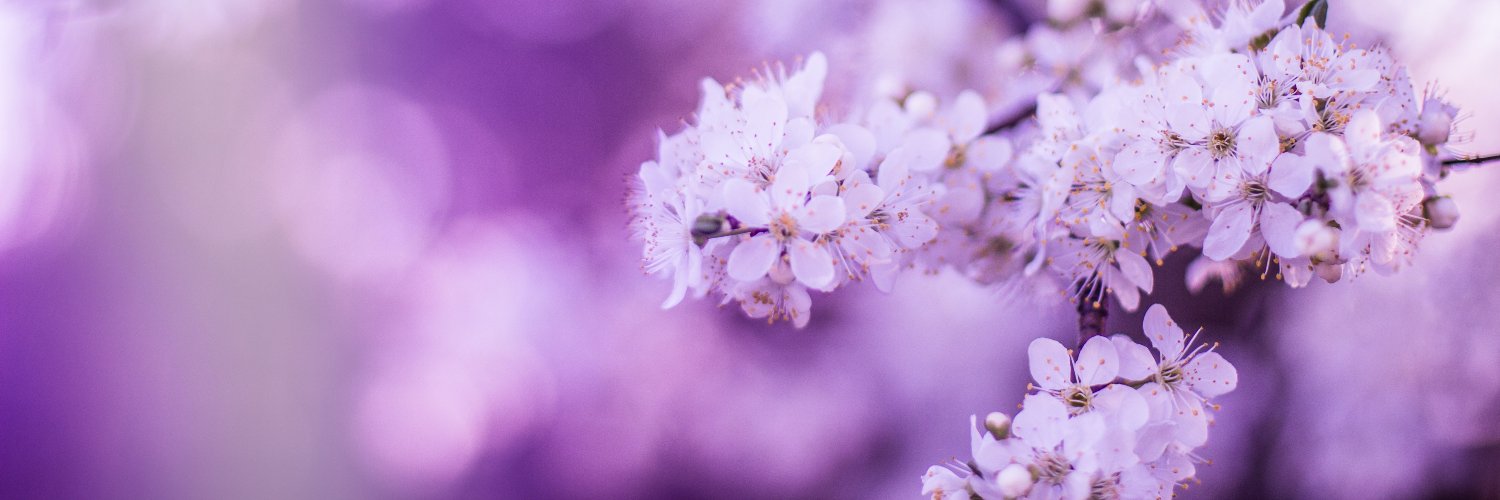 RAINFALL, 🌈 banner