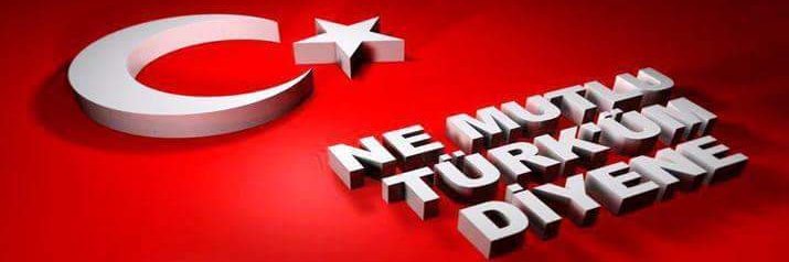 MEHMET PALAZ banner