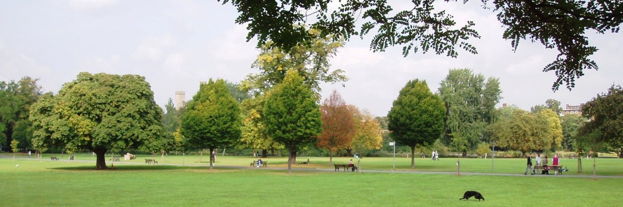 Real Housewives N16 banner