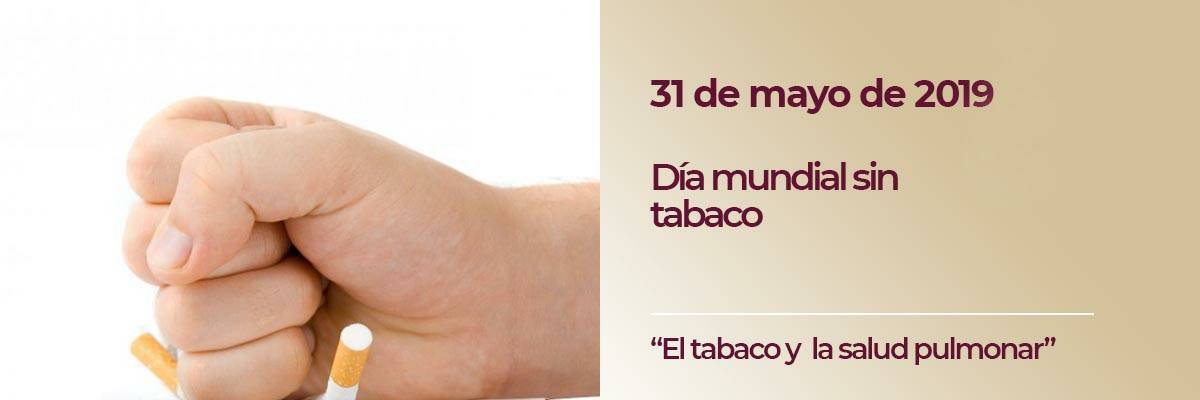 LePeMi 🇧🇴🇵🇪 banner