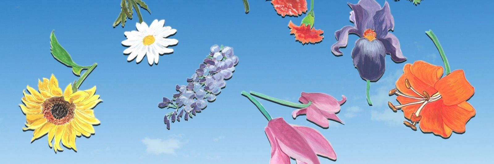 Zivelotta's profile banner image