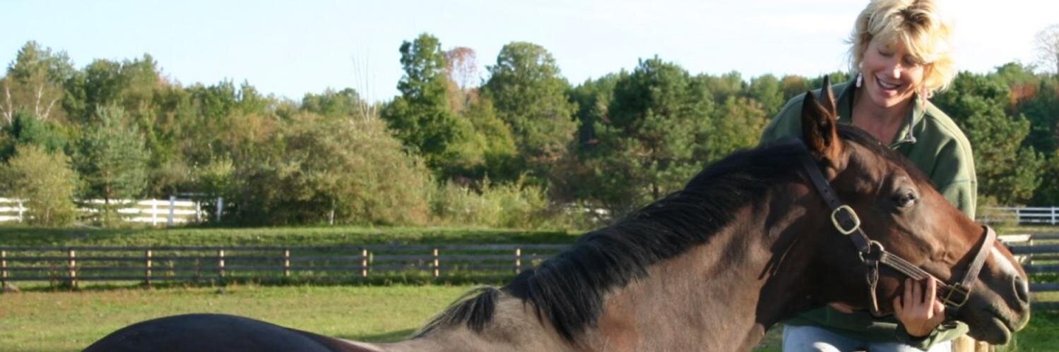 Susan_Kayne's profile banner image