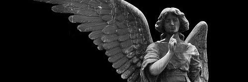 SAVy banner