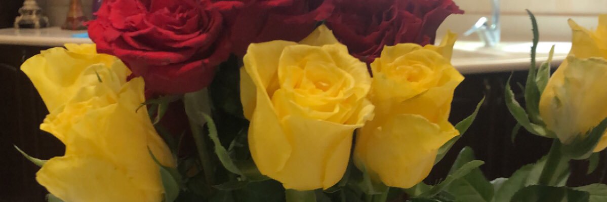 wafa20_02's profile banner image