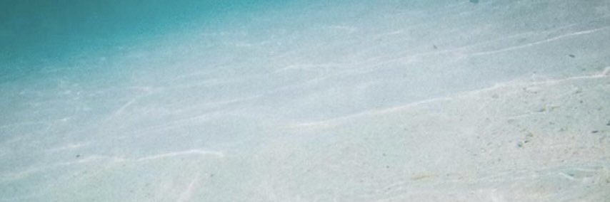 Hitomi Katada banner