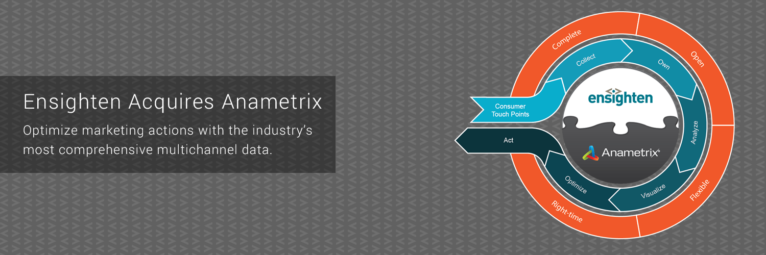 Anametrix banner