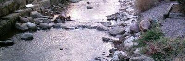 SailorAlphaC Profile Banner