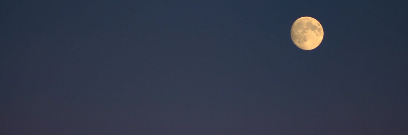 Lou_S2_'s profile banner image