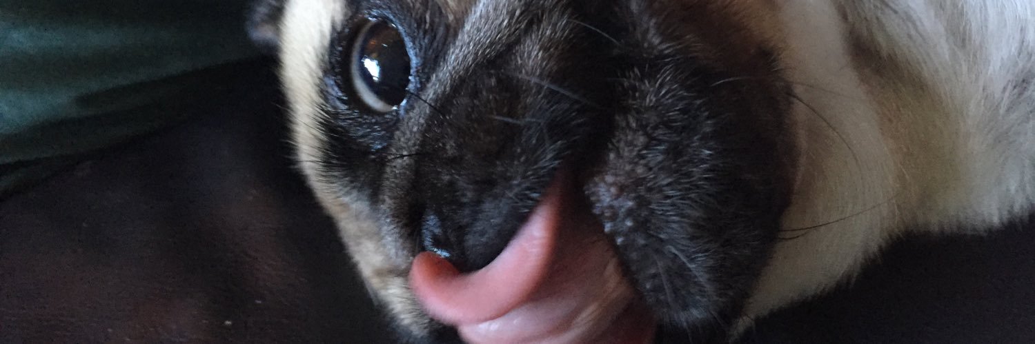 JimmFuller's profile banner image