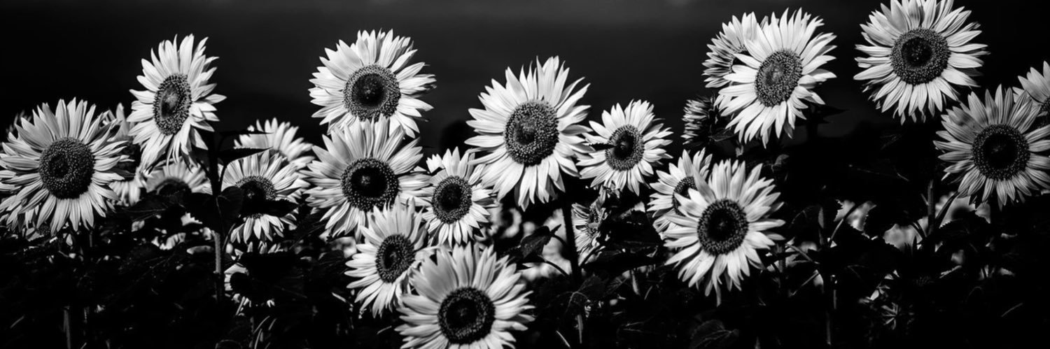 tuttiamour's profile banner image