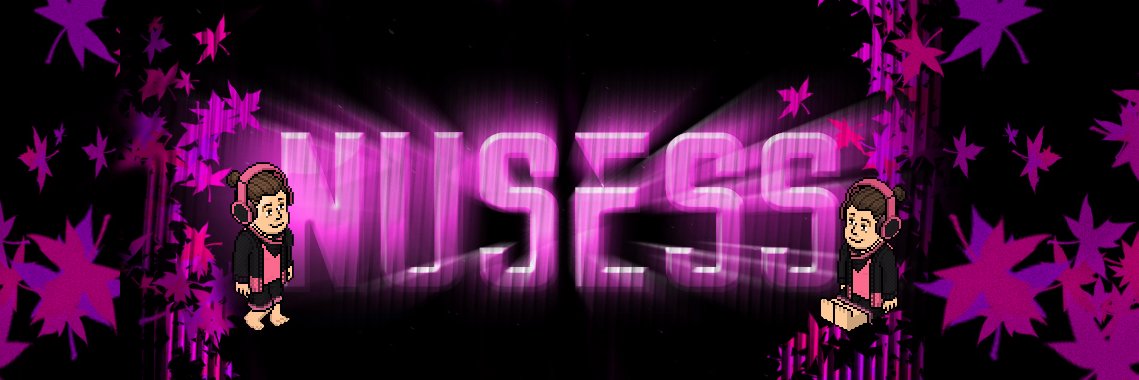 NusessHB's profile banner image