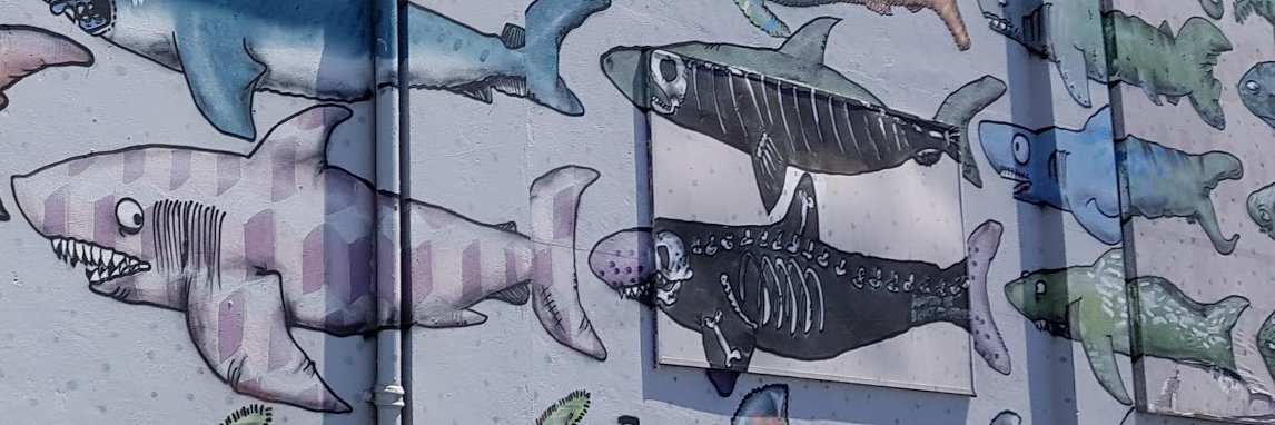 TheFrenchStick's profile banner image