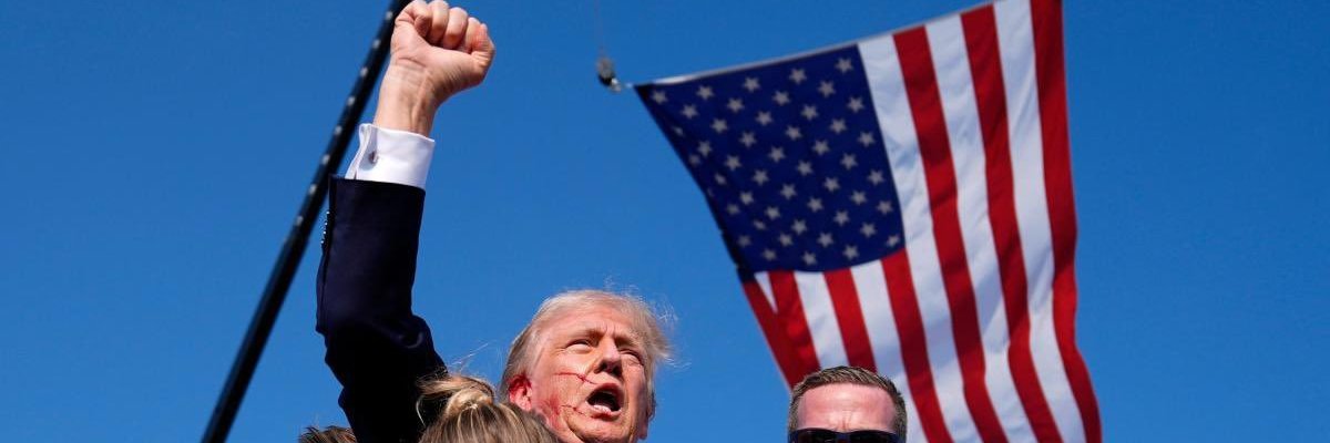 Election Integrity Watcher banner