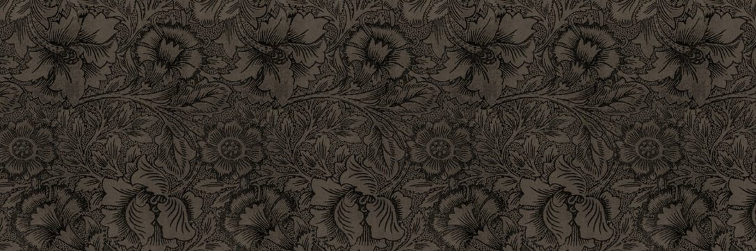 Paul O'Leary McCann banner