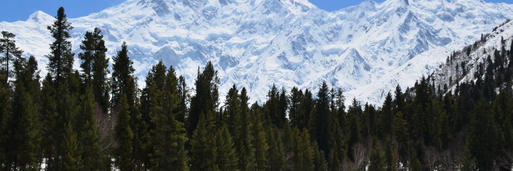 Taha_Saeed89's profile banner image