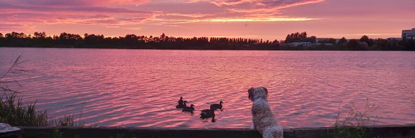 KerriePayne11 Profile Banner