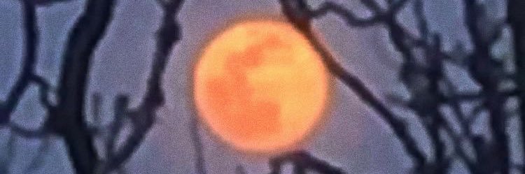 WheresFlaco's profile banner image