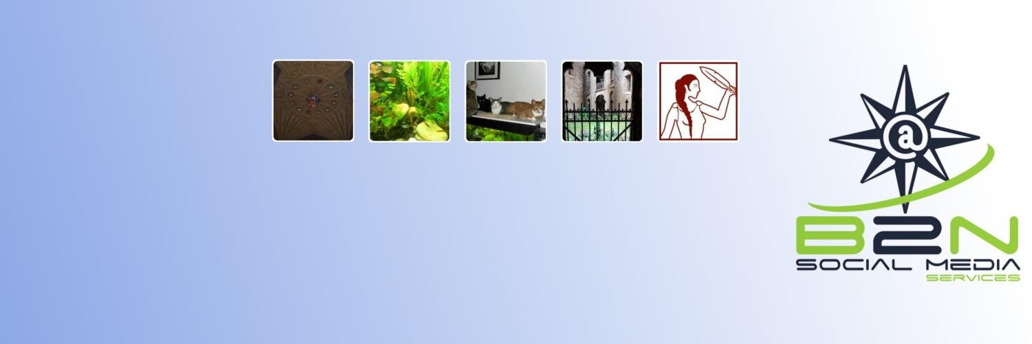 TBuechtmann's profile banner image