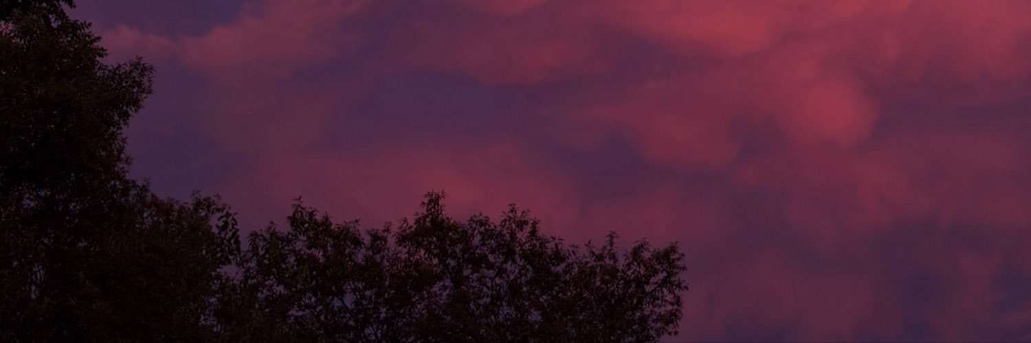 alexisbostic_'s profile banner image