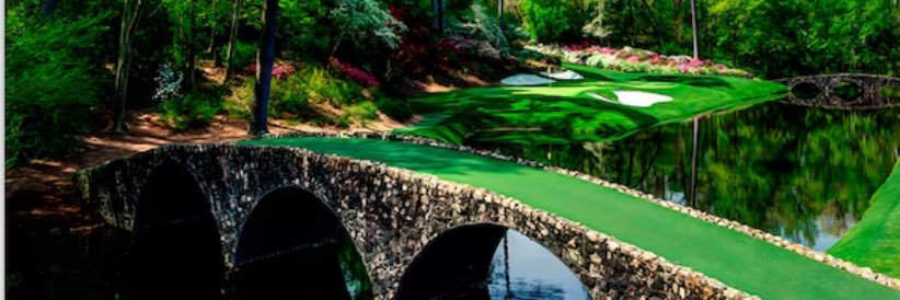 SWHS Lady Spartans Golf banner