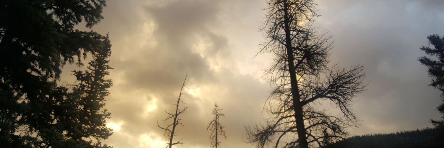 Jamesfiebiger's profile banner image
