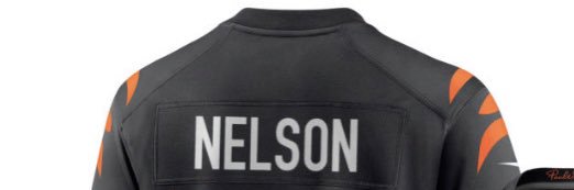 Chris Nelson banner