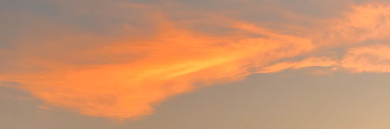 maarinanm's profile banner image