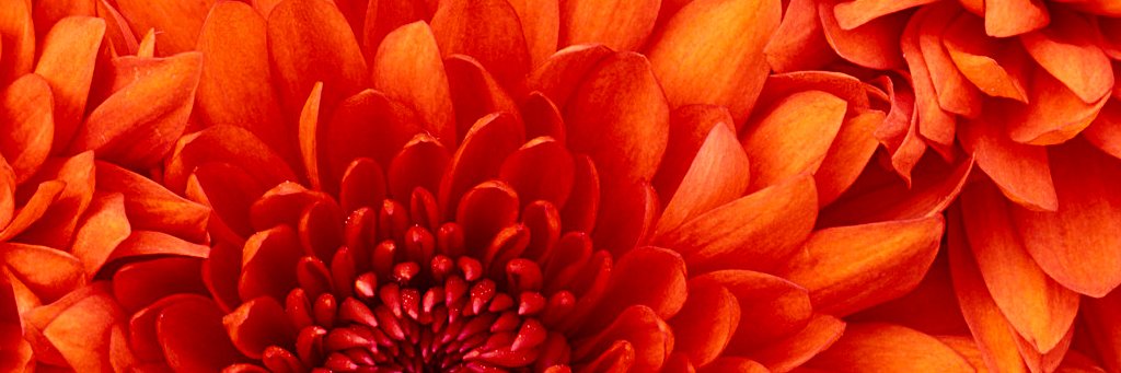 nanditamat's profile banner image