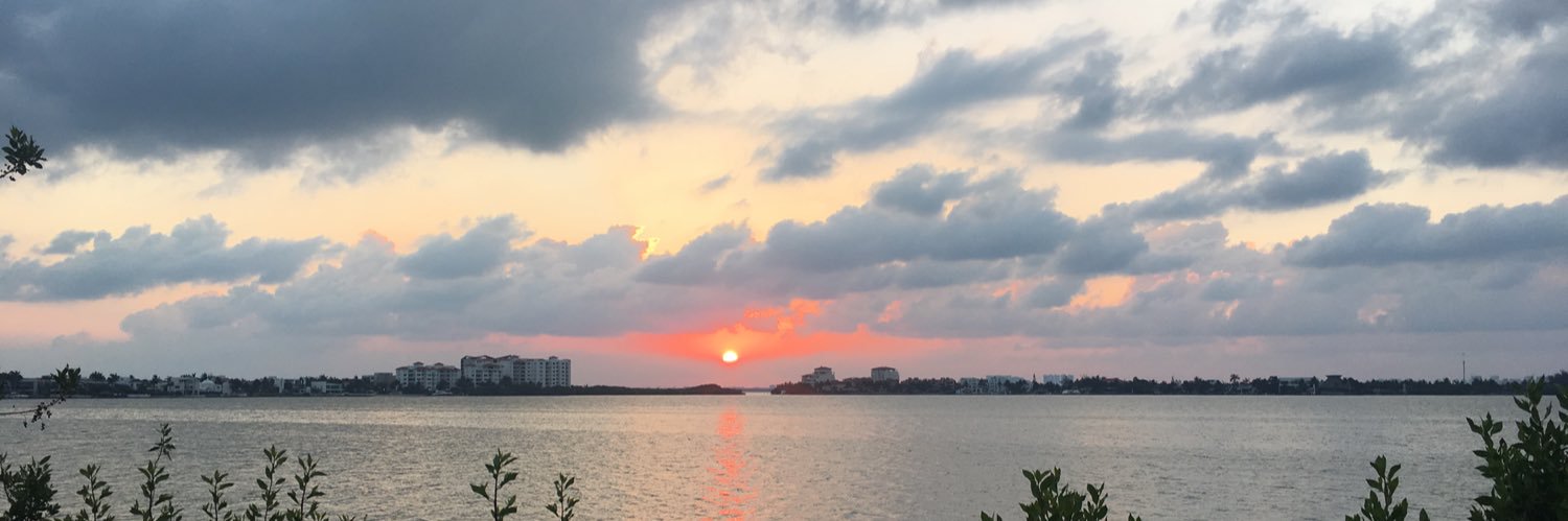 TheBillyRose's profile banner image