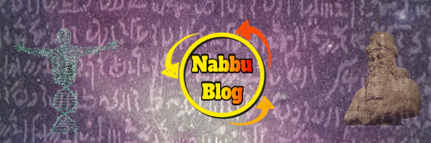 NabbuBlog banner
