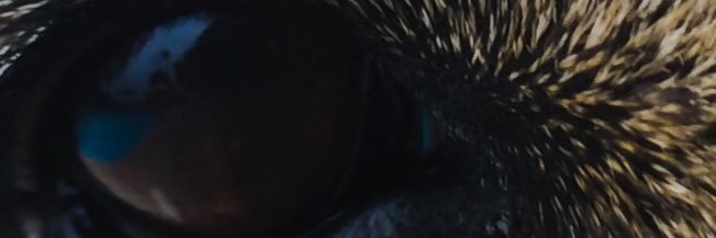 Twitskill's profile banner image