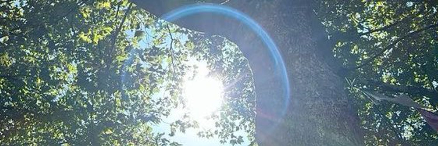 iiihwe___'s profile banner image