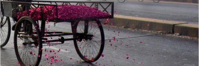 ســـا(...)ـــر banner