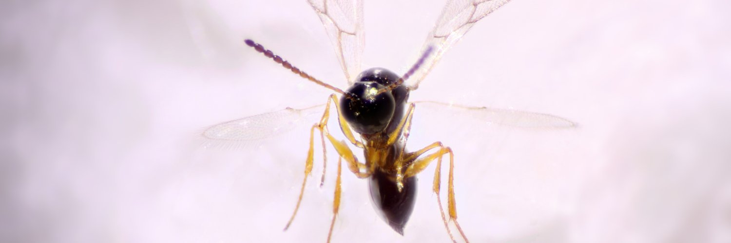 Matt Ballinger banner