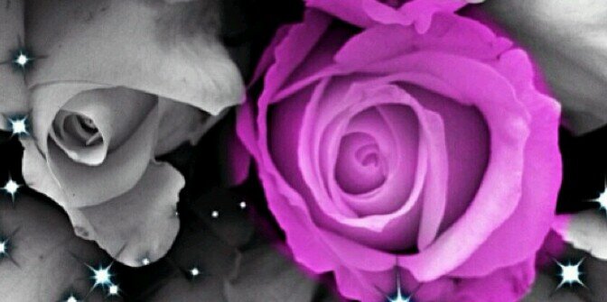 ZaeAl3sal's profile banner image