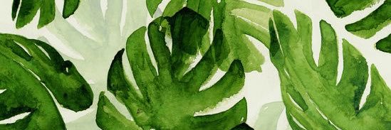 ImBiancaM's profile banner image