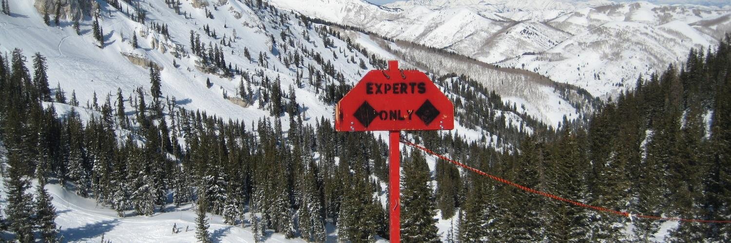 Elisabeth Vincentelli banner