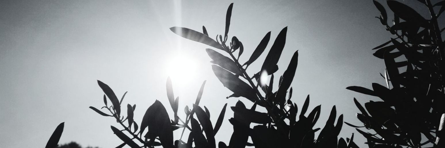 migehanim's profile banner image