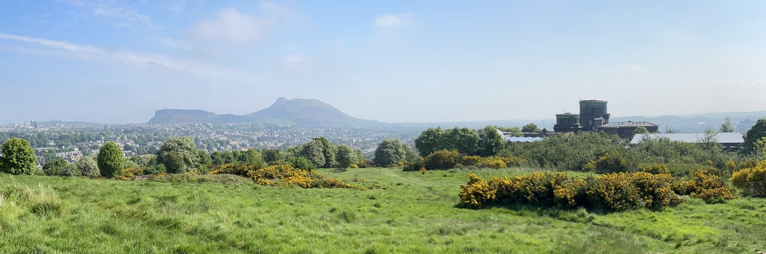Lynne Doherty banner