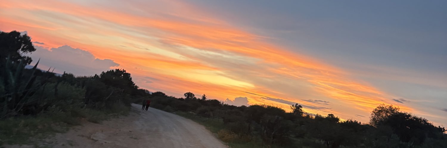 mariamiraanda's profile banner image