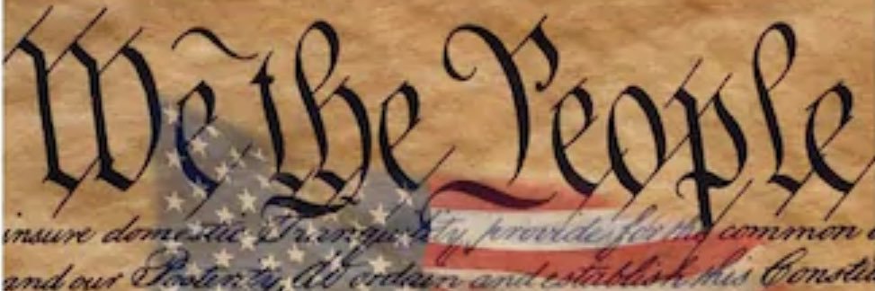Danielle; We The People banner