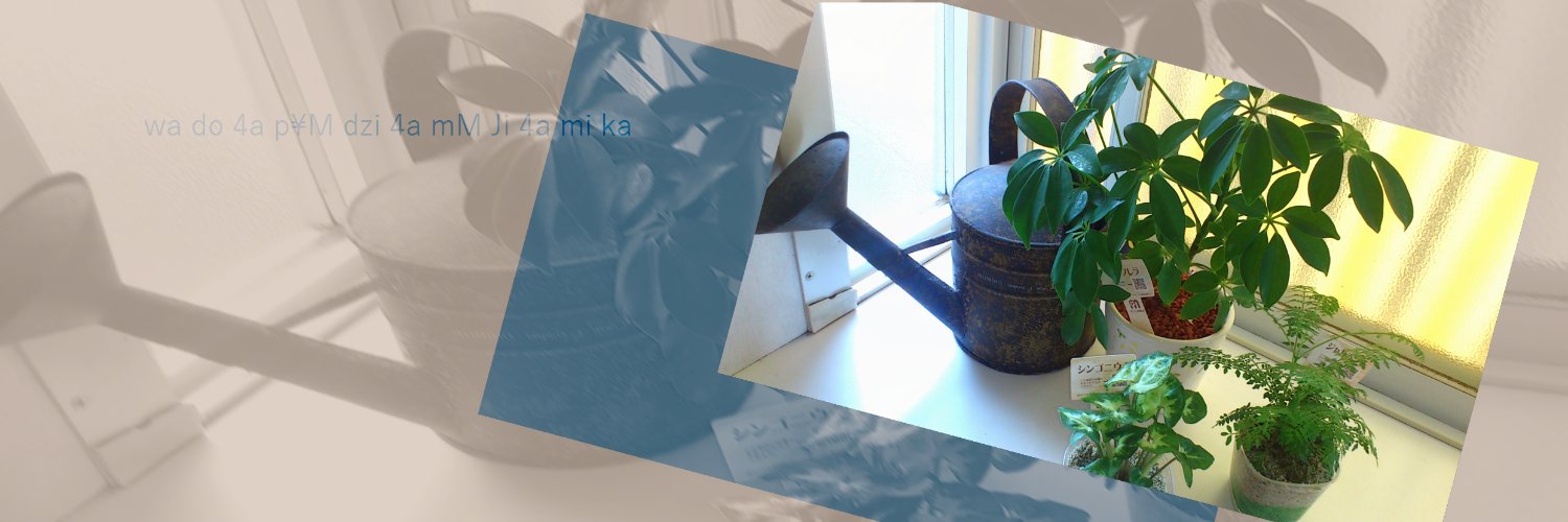 noracat709's profile banner image