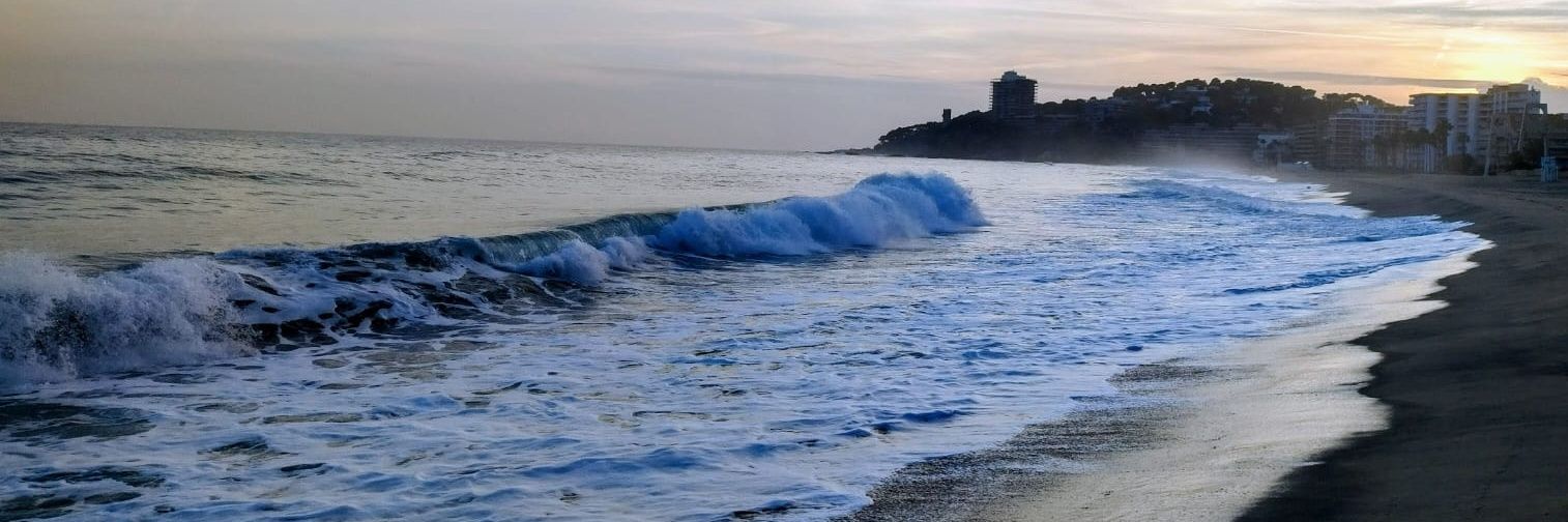 Marc Salgas Reverter banner